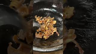 [食記] 基隆 義美自助火鍋城 頂天的石鍋火鍋 