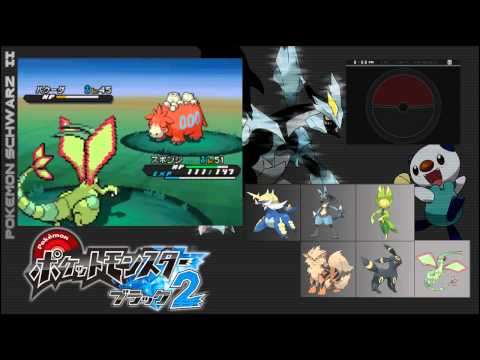 Lets Play Pokemon Black / Schwarz 2 [JAP] #38 Route Nummero 22 und Trainer