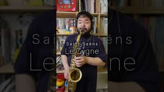 Download lagu サン=サーンス 動物の謝肉祭より「白鳥」 #ショート #saxophone mp3 Download lagu サン=サーンス 動物の謝肉祭より「白鳥」 #ショート #saxophone mp3