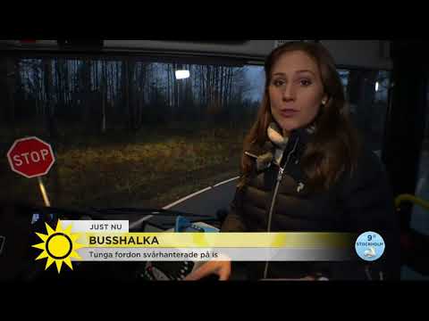 Så pararerar du busshalka - Nyhetsmorgon (TV4)