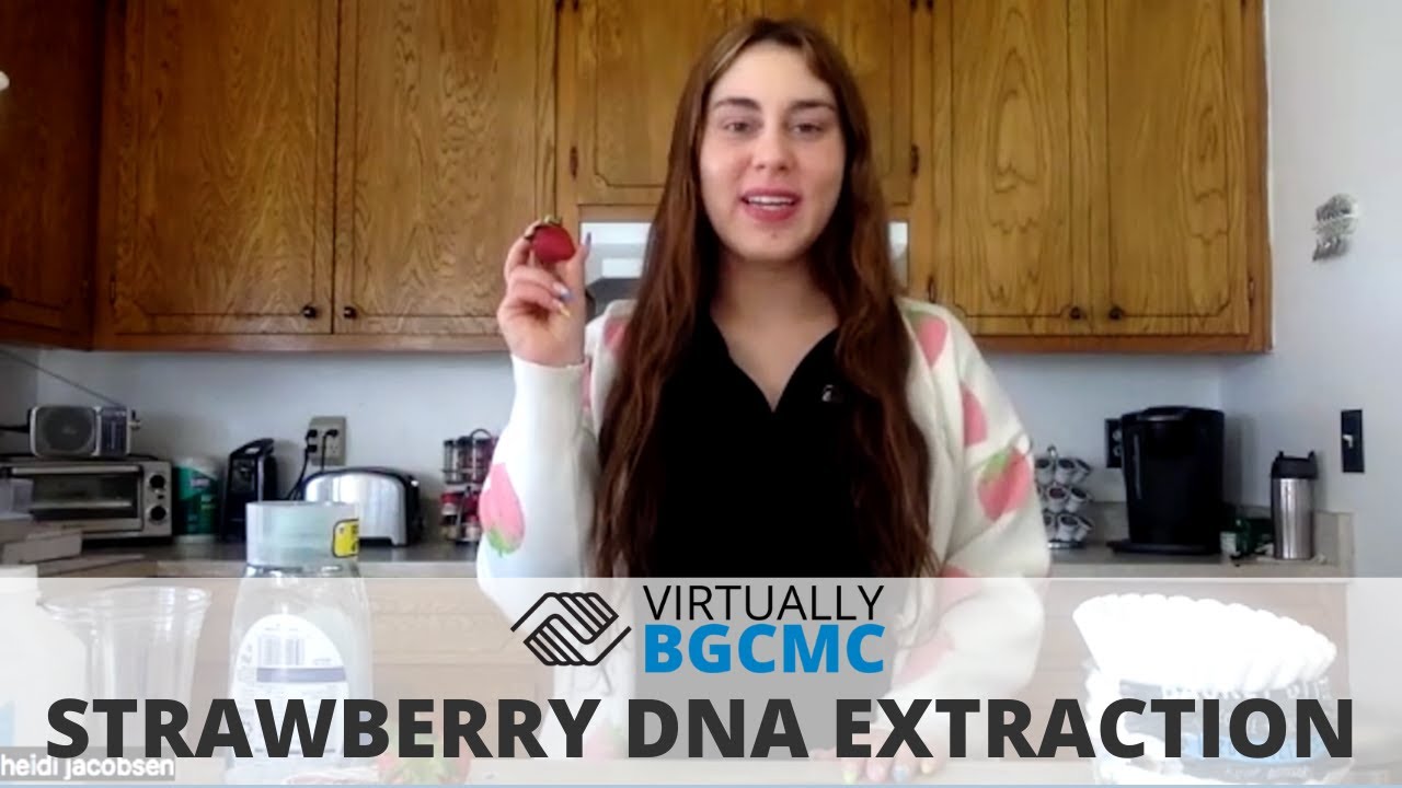 Virtually BGCMC - Strawberry DNA Extraction