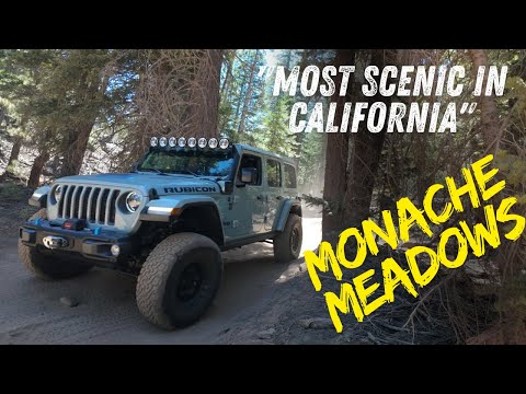 The Trail Everyone's Talking About - Is the Hype Real?