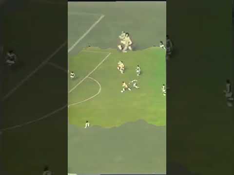 Historic Goal by Reinaldo with the Brazilian National Team!