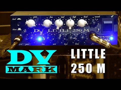 DV Mark Little 250 M - Review