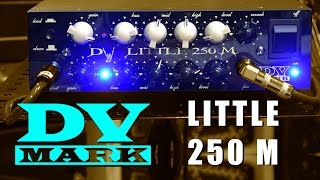 DV Mark Little 250 M - Review