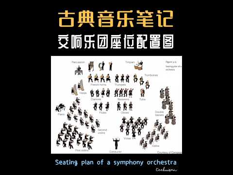 Symphony Orchestra Seating Plan🎼一图看懂交响乐团的乐器分布！你认识几种乐器呢？🎹🎷🎺🎸🎻🪉🥁🪇【古典音乐笔记】📌交响乐团座位配置图