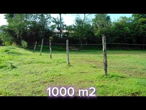 Imagen de Venta de Lotes y Terrenos en Las horquetas - Sarapiquí Las Horquetas - HEREDIA