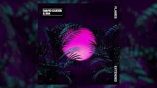 David Guetta &amp; Sia - Flames Extended