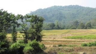 preview picture of video 'Ban Pak Leung, Luang Prabang, Laos'