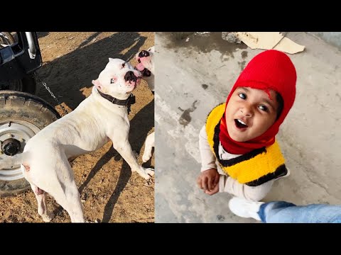 Shadow ko park legye 😍