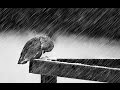 Cold - Jorge Mendez (Saddest Piano & Violin Instrumental)