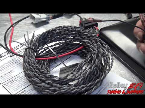 Msd 8000 cdi box With Holley Efi