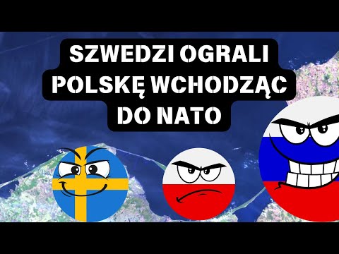 Sojusz polsko-szwedzki to mrzonka [Analiza]