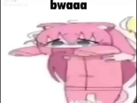 bocchi Bwaaa 1 hour version