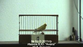 462. 6-й Краснодарский конкурс 2012 г.