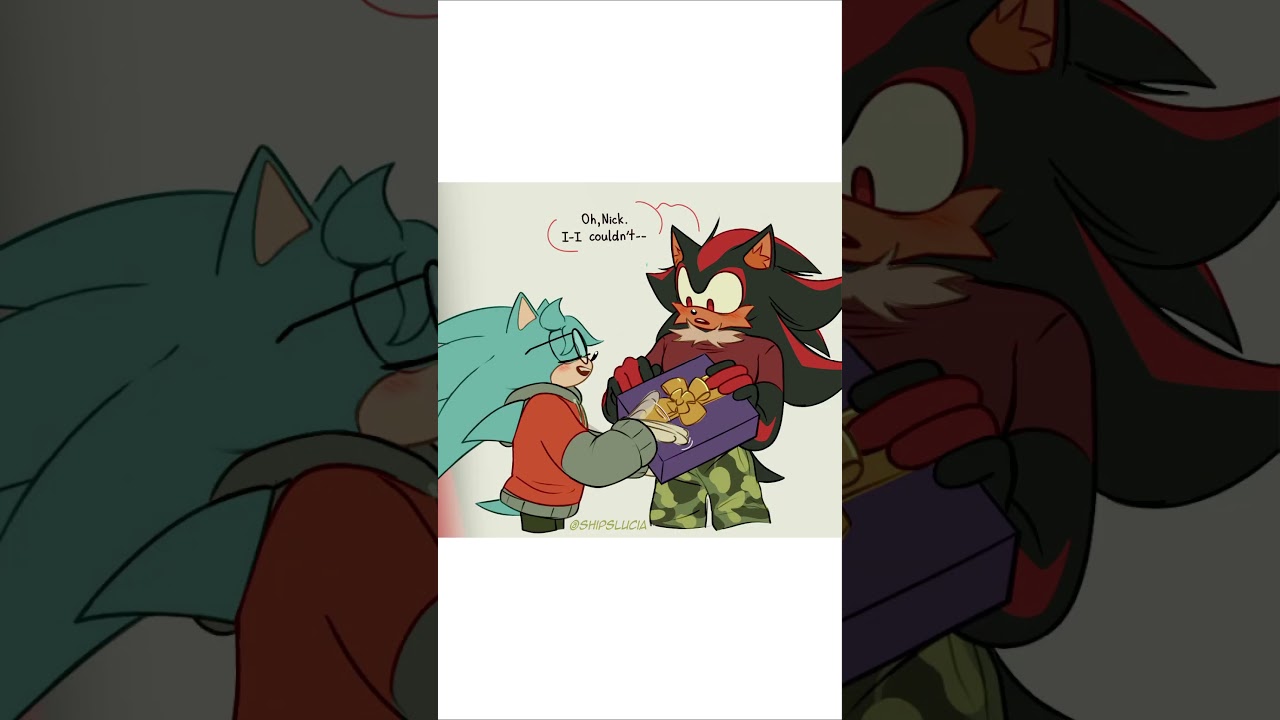 Shadow and Sonic Daily Life Short | Sonic Comic Dub | Sky Comic