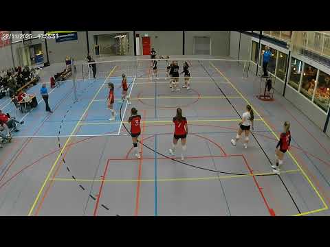 taurus d1 - donki sjot  221125  video 2