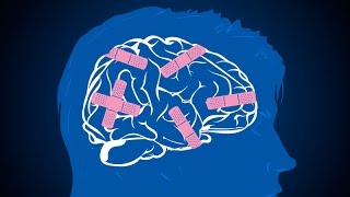 [Guest Video] Blue Pill Mental Illness - MGTOW