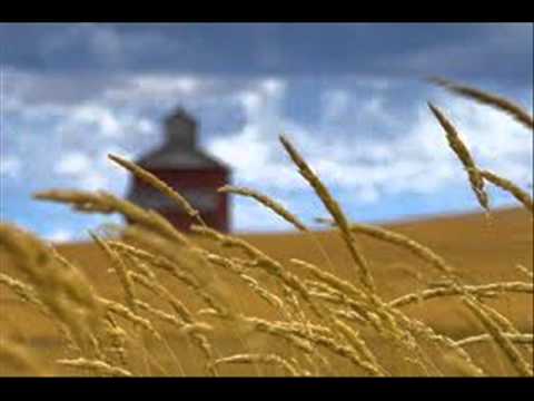 download lagu mp3 mp4 Three Wooden Crosses Music Video, download lagu Three Wooden Crosses Music Video gratis, unduh video klip Three Wooden Crosses Music Video
