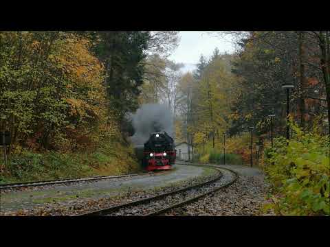 Frank Rennicke - Herbst im Harz
