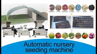 cabbage nursery seeding machine youtube video