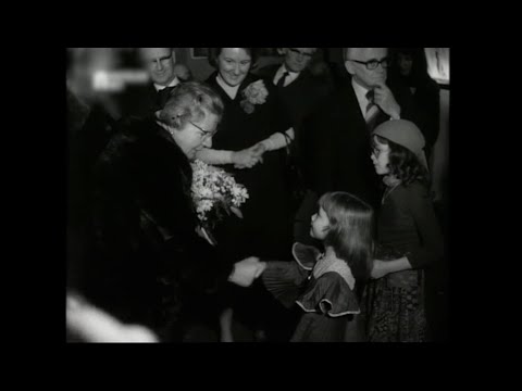 trailer image