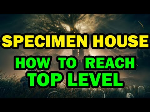 Shadow of the Erdtree: How to reach the top level of the Specimen House