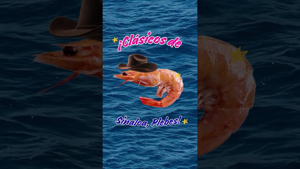 Camarón que se duerme… ¡se cocina!