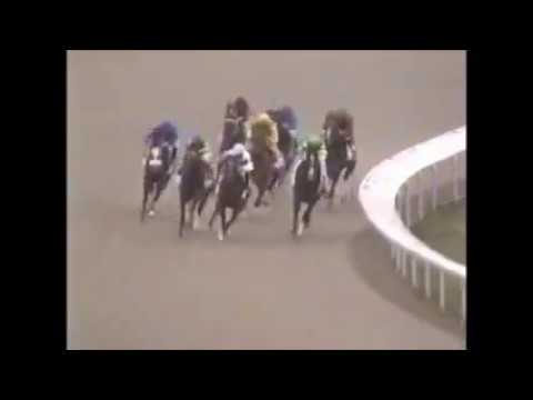 2008 Transylvania Stakes Keeneland - Boss Lafitte
