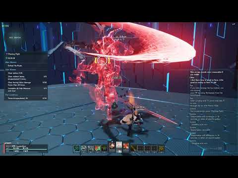 PSO2 NGS 0:43 Bujin No Damage Fi/Fo Knuckle