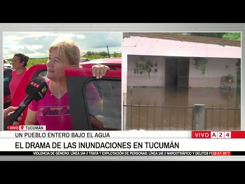 📢 EL DRAMA DE LAS INUNDACIONES EN LA MADRID, TUCUMÁN: BUSCAN AYUDA PARA LA GENTE Y LOS ANIMALES