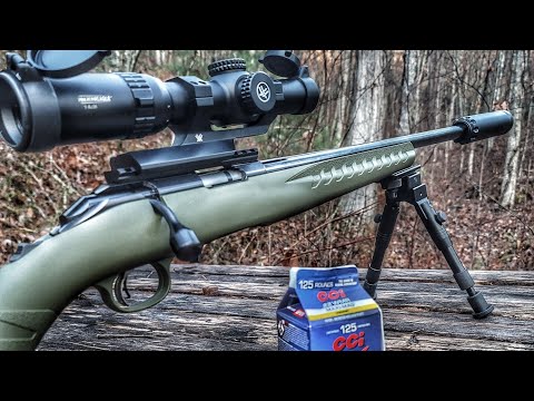 Why You Should Consider a 5.56 Suppressor for Your .22LRs