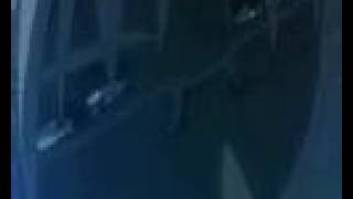 sacrifice [T.A.T.U.]