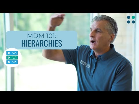 MDM 101: What are Hierarchies?