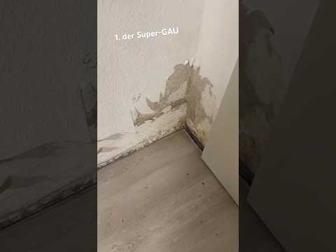 Feuchtigkeitsschaden ist zurück! #diy #schaden