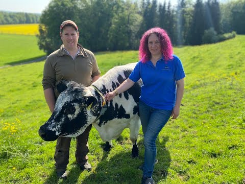 Pustertaler Sprinzen – Nicht nur äusserlich spezielle Mutterkühe