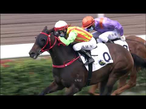 14/2/2021 (422) Noble Man - V Borges