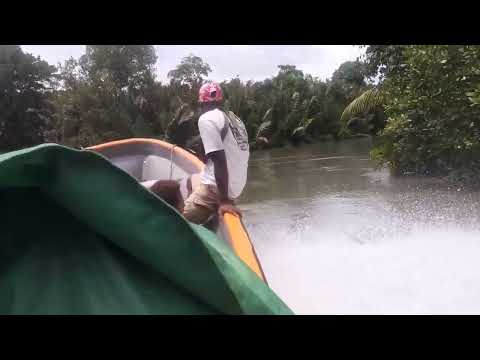 Traversing the meanding channels of the Purari River, Gulf Province of Papua New Guinea 🇵🇬