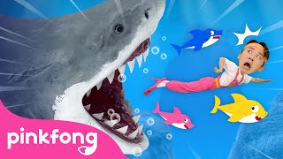 😱 Run Away from the Sharks! | Animal Song | Hoi&#39;s Playground | Pinkfong Baby Shark Kids Song