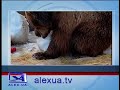 thumbnail text
