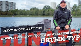 Отборы в сборную россии 2020 фидер