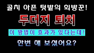 [텃밭농부 1,702]  골치 아픈 텃밭의 회방꾼. 두더지 퇴치에 이 방법은 어때요?