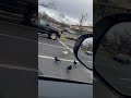 When Trying To Eat Mcdonalds At A Parkinglot Bro Seagull RavensFlock Hungry Birds Shorts