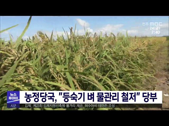 농정당국, ''등숙기 벼 물관리 철저'' 당부