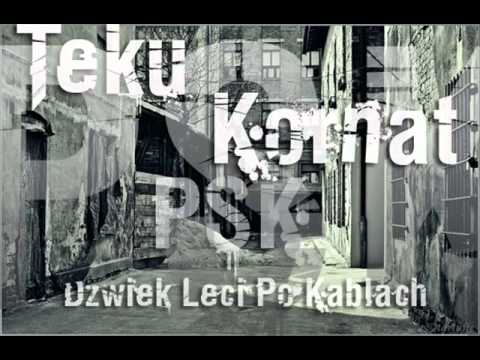 PSK- Dzwiek Leci Po Kablach