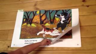 Mama Cat has Three Kittens by Denise Fleming U5WK1