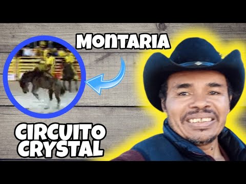 CIRCUITO CRYSTAL DE RODEIO - Montaria no CAVALO PANTHER (CUTIANO)