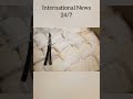 Czech Police Seize 840 Kg Of Cocaine Hidden In Banana Shipment Shorts