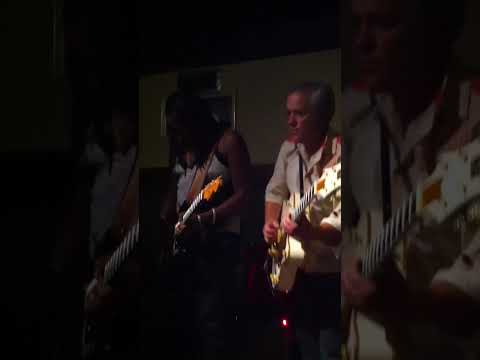 The cats-a-renos w/ Kat Dyson