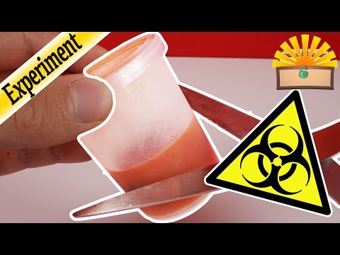 EKLIGE MADEN GEFRIEREN & ZERSCHNEIDEN - Kinder Experiment deutsch NEU